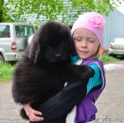 Превью фото № 151889