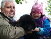 Превью фото № 151891