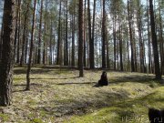 Превью фото № 151958