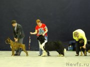 Превью фото № 151964