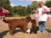 Превью фото № 151995