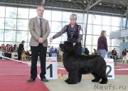 Превью фото № 151996