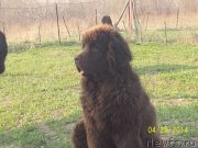 Превью фото № 152056