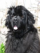 Превью фото № 152096