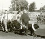 Превью фото № 1521