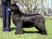 Превью фото № 152103