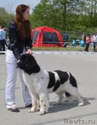 Превью фото № 152180