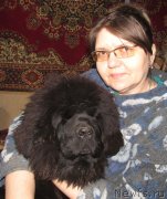 Превью фото № 152181