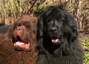 Превью фото № 152194