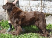 Превью фото № 152210