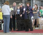 Превью фото № 152217