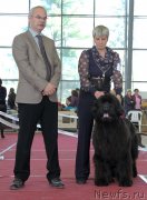 Превью фото № 152220