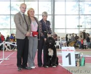 Превью фото № 152226