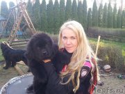 Превью фото № 152228