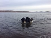 Превью фото № 152329