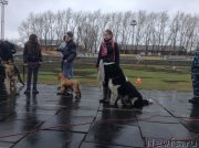 Превью фото № 152336