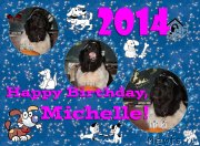 Превью фото № 152338