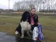 Превью фото № 152340