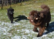 Превью фото № 152387