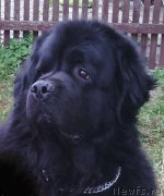 Превью фото № 152444