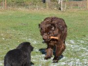 Превью фото № 152484