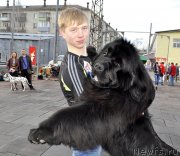 Превью фото № 152530