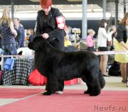 Превью фото № 152535