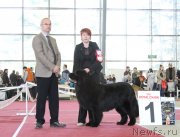 Превью фото № 152536