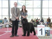 Превью фото № 152551