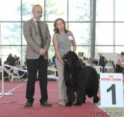 Превью фото № 152552