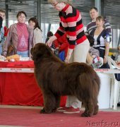 Превью фото № 152553