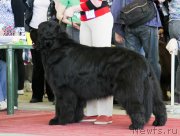 Превью фото № 152554