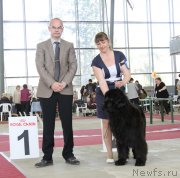 Превью фото № 152564