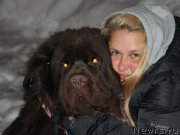 Превью фото № 152675