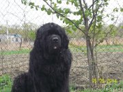 Превью фото № 152684