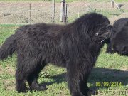 Превью фото № 152686