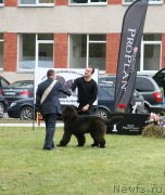 Превью фото № 152769