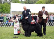 Превью фото № 152789