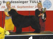 Превью фото № 152790