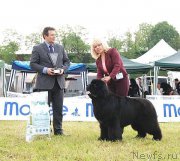 Превью фото № 152791