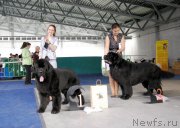 Превью фото № 152881