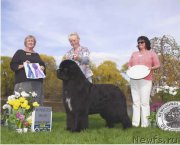 Превью фото № 152962