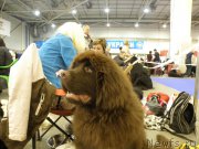 Превью фото № 152983