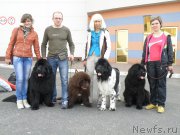 Превью фото № 152985