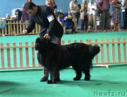 Превью фото № 153027