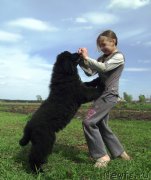 Превью фото № 153032