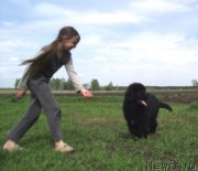 Превью фото № 153034