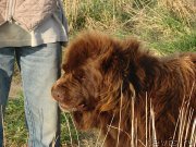 Превью фото № 153110