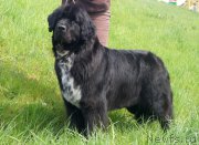 Превью фото № 153159