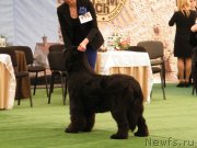 Превью фото № 153333